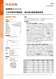 上半年营收平稳增长，新兴安全板块表现良好