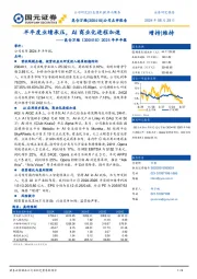 2024年半年报点评:半年度业绩承压,AI商业化进程加速