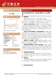 差异化布局新兴市场,需求逐步释放下Q2业绩改善