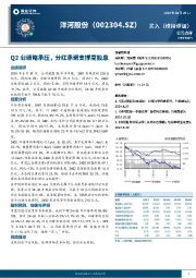 Q2业绩略承压,分红承诺支撑高股息
