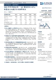 2024年半年报点评：Q2营收同比+41%，投资金占比提升令利润率承压