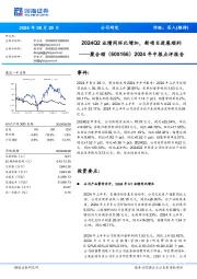 2024年中报点评报告:2024Q2业绩同环比增加,新项目进展顺利