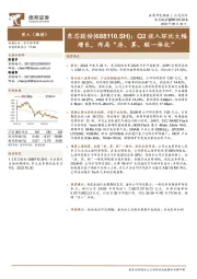 Q2收入环比大幅增长，布局“存、算、联一体化”
