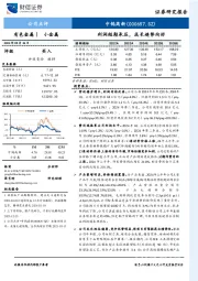 利润短期承压，成长趋势向好