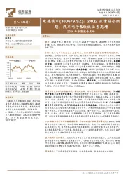 2024年中期报告点评：24Q2业绩符合预期，汽车电子&软板业务高增