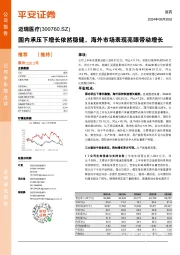 国内承压下增长依然稳健，海外市场表现亮眼带动增长
