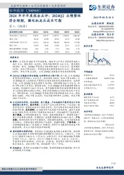 2024年半年度报告点评:2024Q2业绩整体符合预期,微电机龙头成长可期