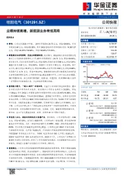 业绩持续高增，新能源业务表现亮眼