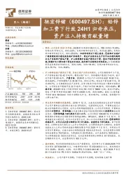 铅锌加工费下行致24H1归母承压,资产注入持续贡献量增