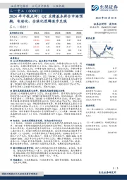 2024年中报点评:Q2业绩基本符合市场预期,电动化、全球化逻辑逐步兑现