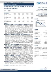 2024年半年报点评:Q2业绩承压,看好全球化与平台化布局深化