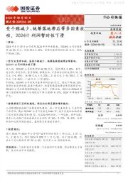 受个账减少、统筹落地滞后等多因素扰动,2024H1利润暂时性下滑