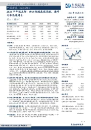 2024半年报点评:新兴领域表现亮眼,海外订单迅速增长