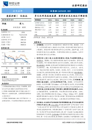 多元化布局成效显著,国货美妆龙头地位不断夯实