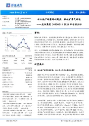 2024年中报点评:钛白粉产销量再创新高,钛精矿景气延续