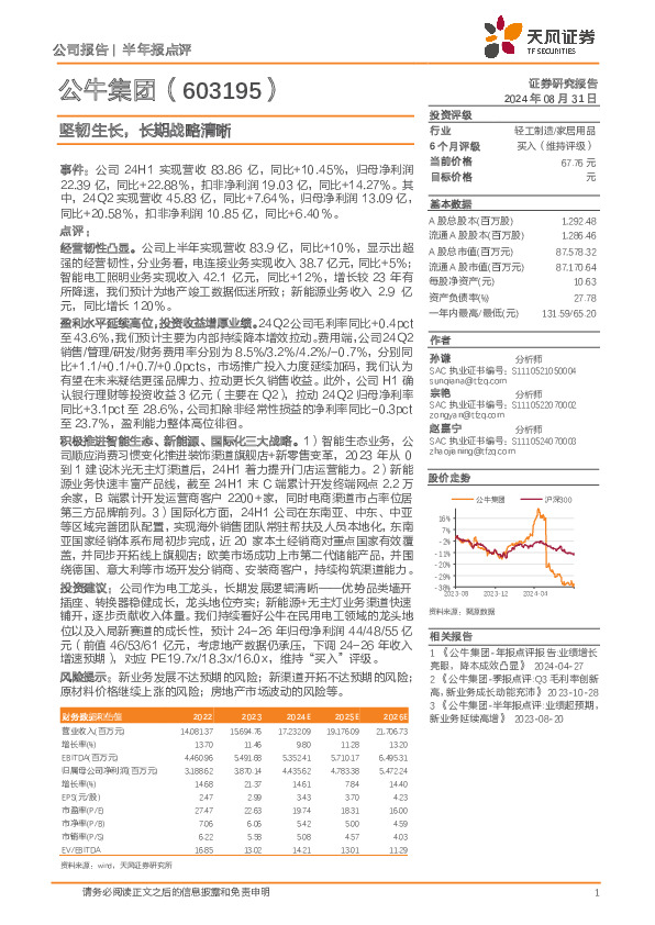 坚韧生长，长期战略清晰