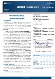 TOPCon龙头优势渐显,全球化布局提升竞争力