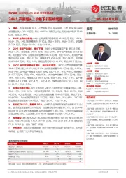 2024年半年报点评:24H1产销增长,价格下行影响利润