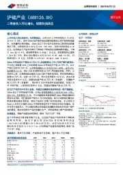 二季度收入环比增长,短期利润承压