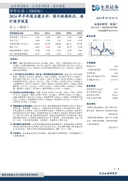 2024年半年报业绩点评：国内短期承压，海外逐步恢复