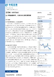 Q2业绩企稳回升,打磨内功支撑长期发展