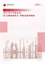 2024年半年报点评:Q2业绩短期承压,持续拓展新领域