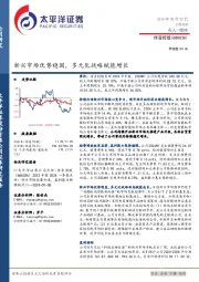 新兴市场优势稳固,多元化战略赋能增长