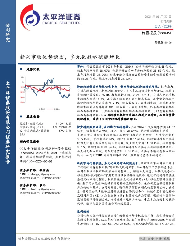 新兴市场优势稳固，多元化战略赋能增长