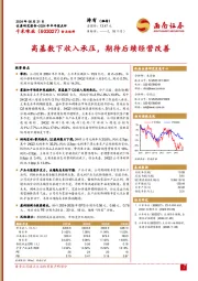 2024年半年报点评：高基数下收入承压，期待后续经营改善