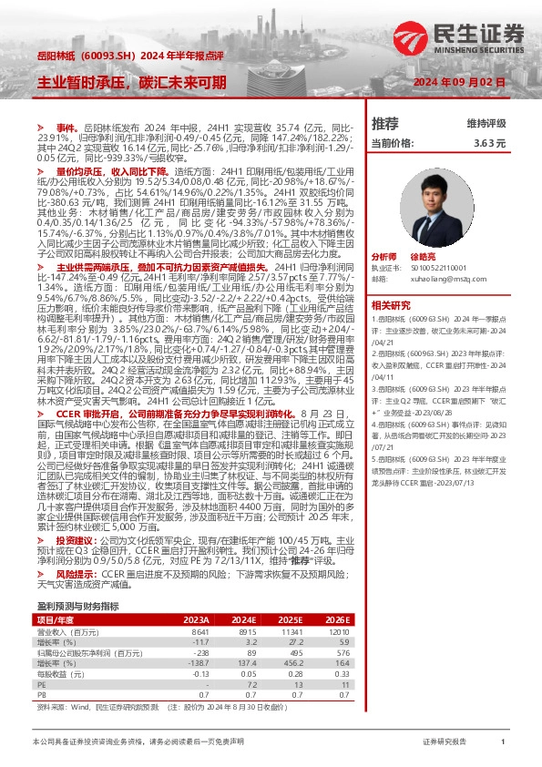 岳阳林纸（60093.SH）2024年半年报点评：主业暂时承压，碳汇未来可期