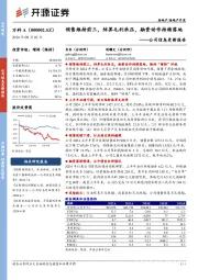 公司信息更新报告:销售维持前三,结算毛利承压,融资动作持续落地