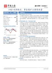 24Q2利润转正,贵金属矿山持续放量