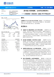 2024年半年报点评：盈利能力保持稳健，全球布局持续深化