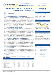 2024年半年报点评：业绩稳定增长，深化3D、AI产业布局