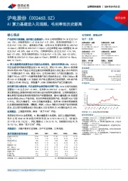 AI算力基建进入兑现期,毛利率创历史新高
