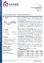 全球化布局稳步推进，高质量发展持续深化