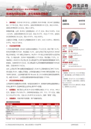 2024年半年报点评:欧洲海风有所突破,多元布局稳步推进