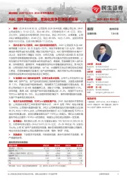 2024年半年报点评:ABC组件开始放量,差异化竞争引领技术变革