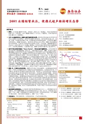 2024年中报点评:24H1业绩短暂承压,便携式超声维持增长态势