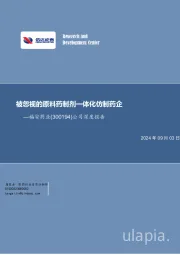 公司深度报告：被忽视的原料药制剂一体化仿制药企