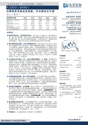 品牌转型突破成效亮眼,多品牌成长可期