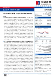 24H1业绩同比高增,半导体显示领域持续领先