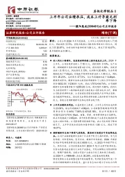 公司点评报告:上半年公司业绩承压,成本上升导致毛利率下降