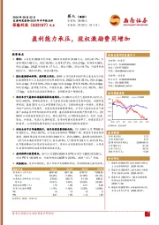 2024年半年报点评:盈利能力承压,股权激励费用增加