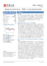 聚醚胺需求静待复苏,COC千吨装置建成待投放