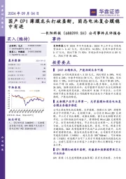 公司事件点评报告:国产CPI薄膜龙头打破垄断,固态电池复合膜稳中有进