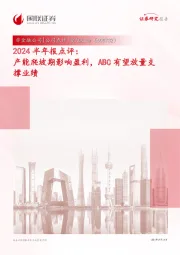 2024半年报点评:产能爬坡期影响盈利,ABC有望放量支撑业绩