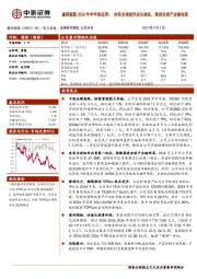2024年半年报点评: 夯实全球组件龙头地位,推进全球产业链布局