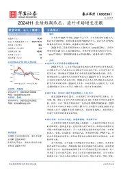 2024H1业绩短期承压，海外市场增长亮眼