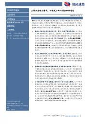 主营业务稳定增长,持续发力新兴安全板块建设